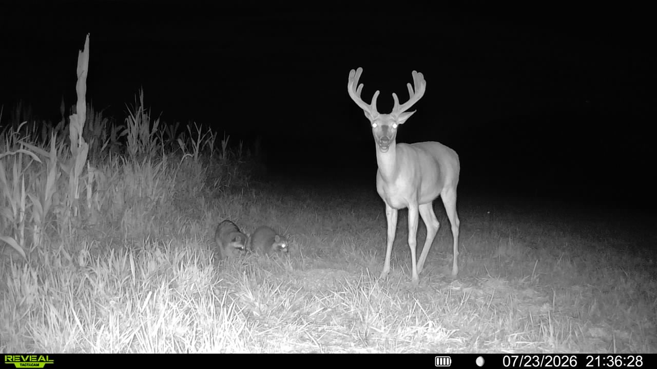 Douds, IA 52551 - image 30
