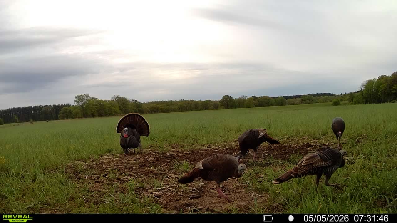 Douds, IA 52551 - image 37