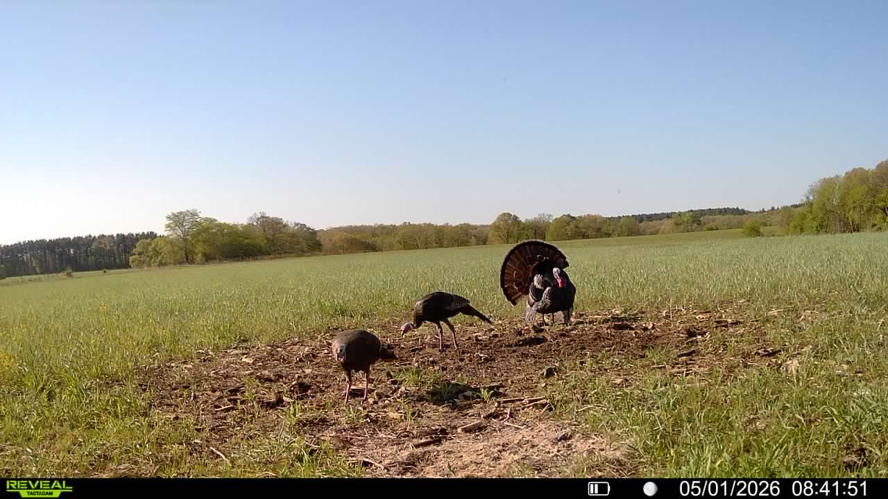 Douds, IA 52551 - image 36