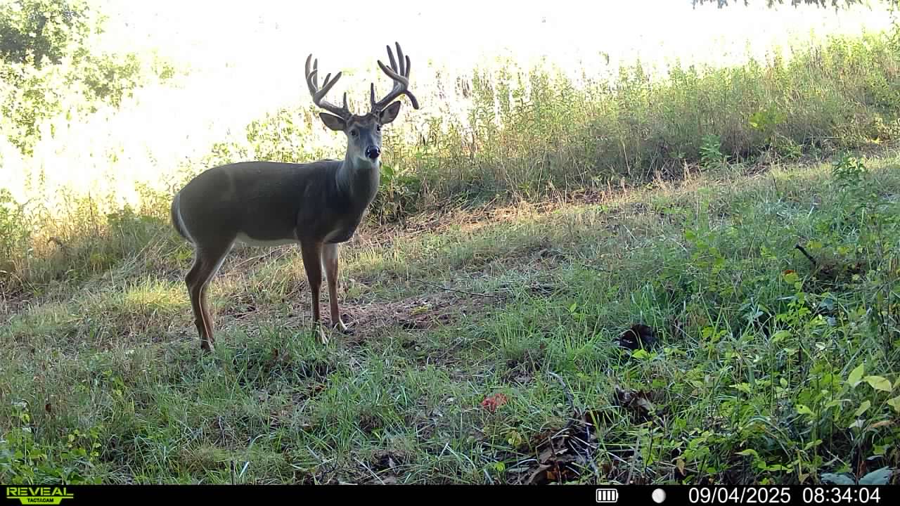 Douds, IA 52551 - image 23