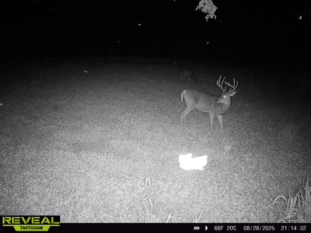 Douds, IA 52551 - image 44