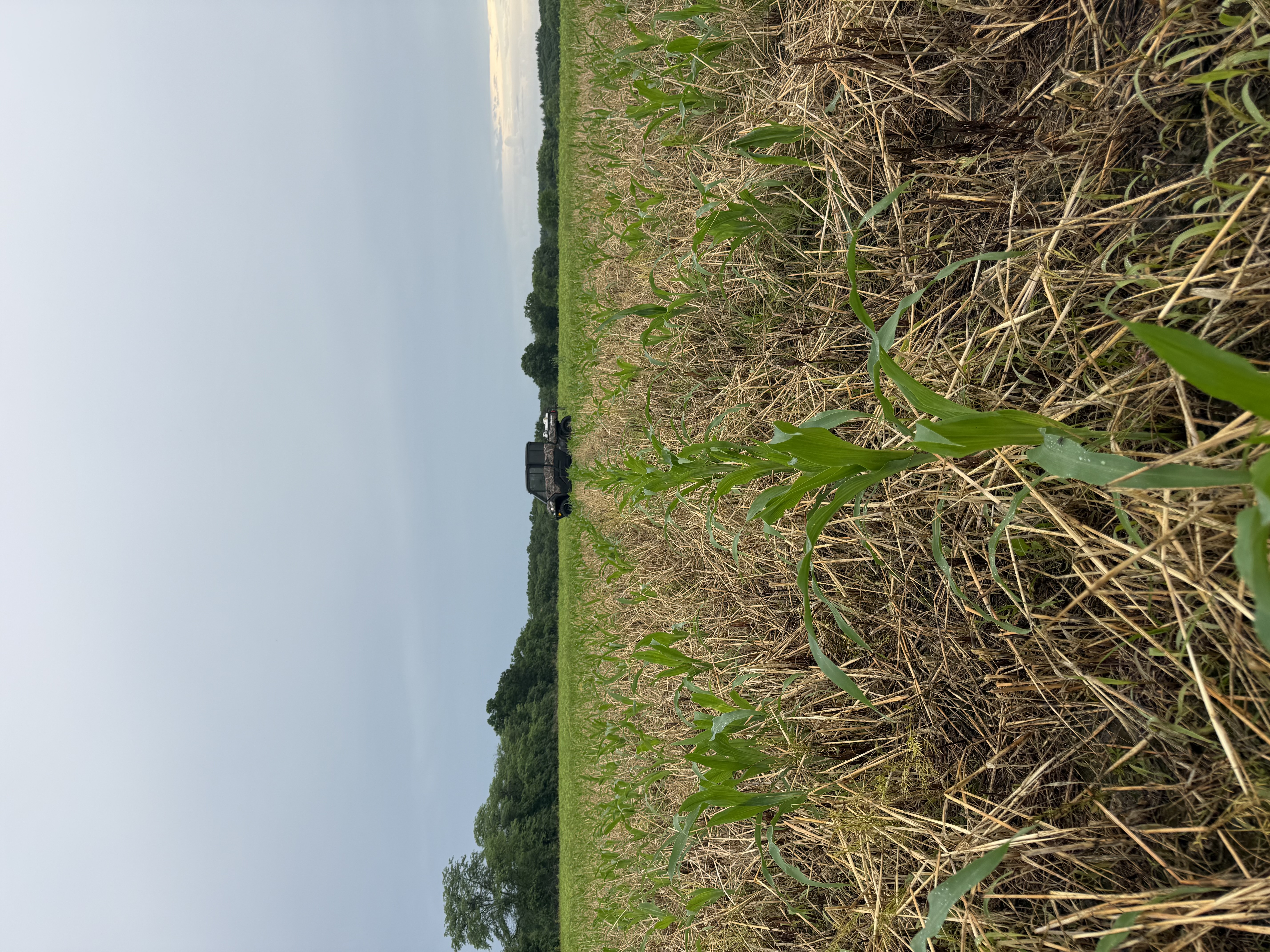 Douds, IA 52551 - image 46