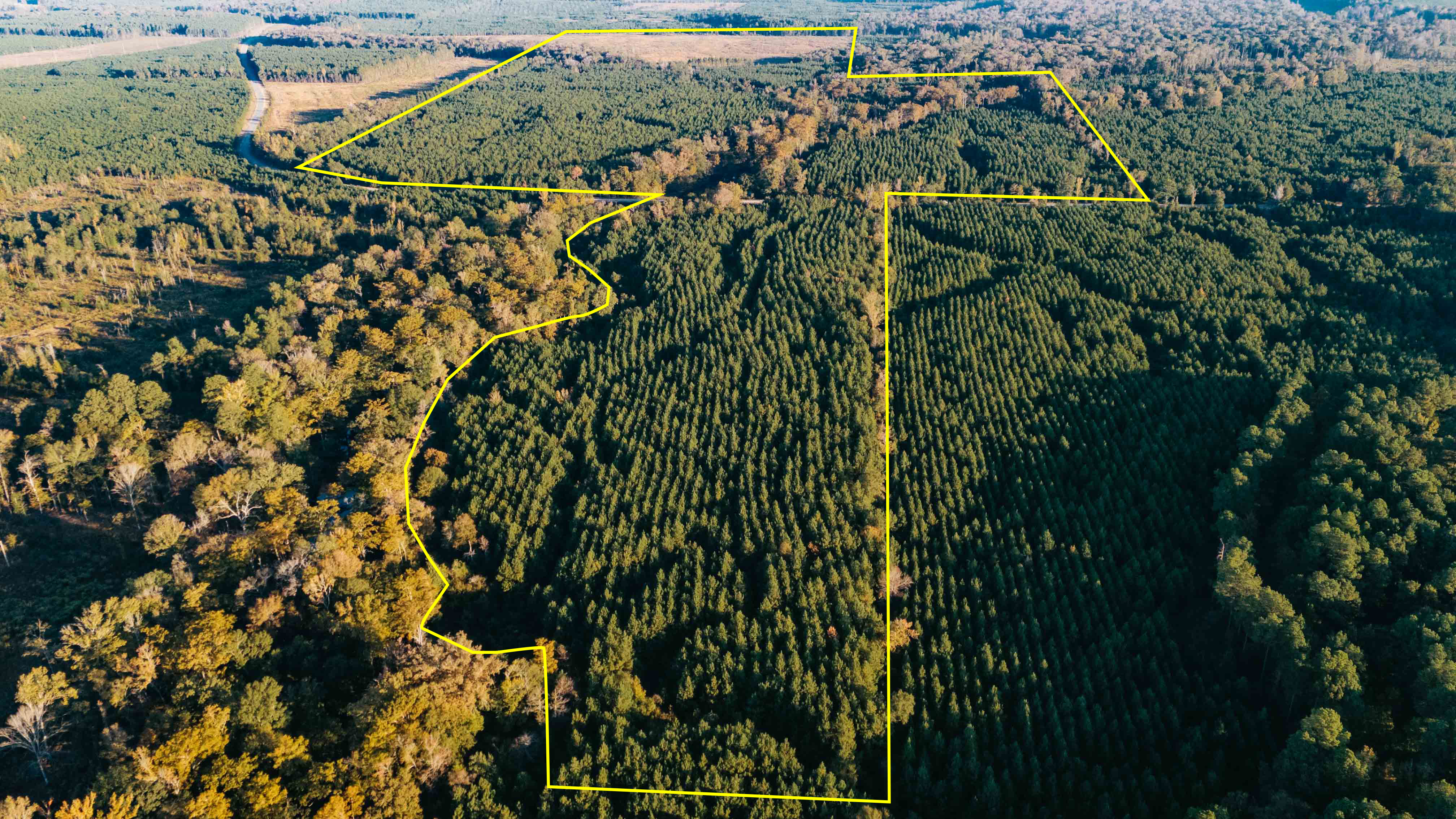 Jersey, AR 71651 - image 39