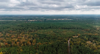 Sparkman, AR 71763