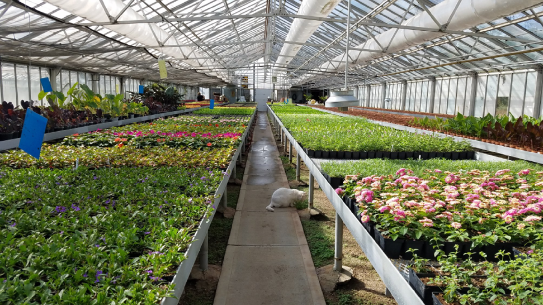 Hanscom Park: A Tribute to Omaha's Oldest Park | Jason Slama REALTOR®